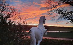 Reiterhof Schmidt, Gaststätte&Pension